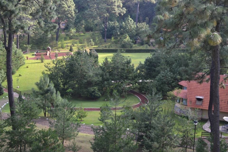 Bosque Escondido