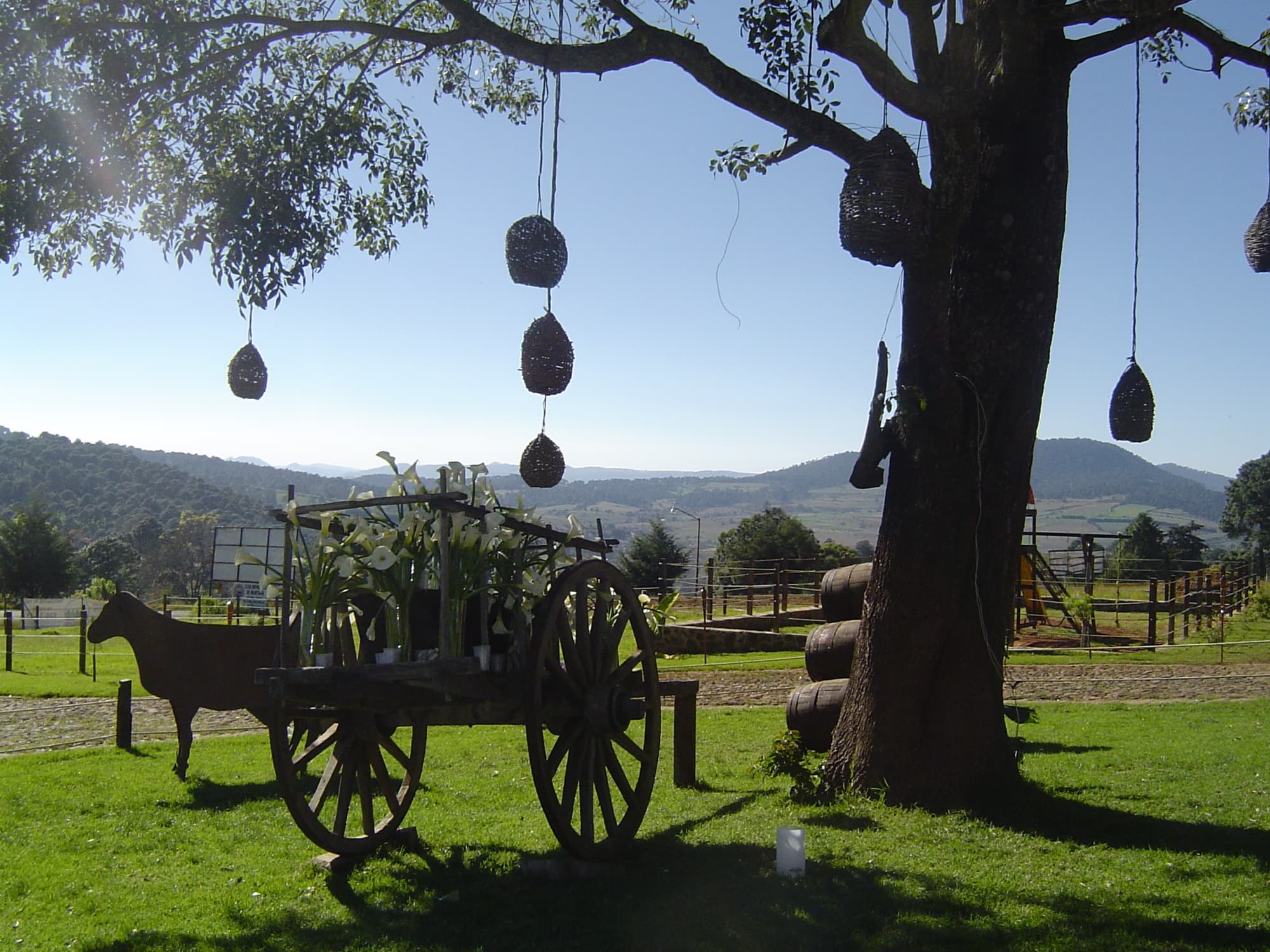 Bosque Escondido