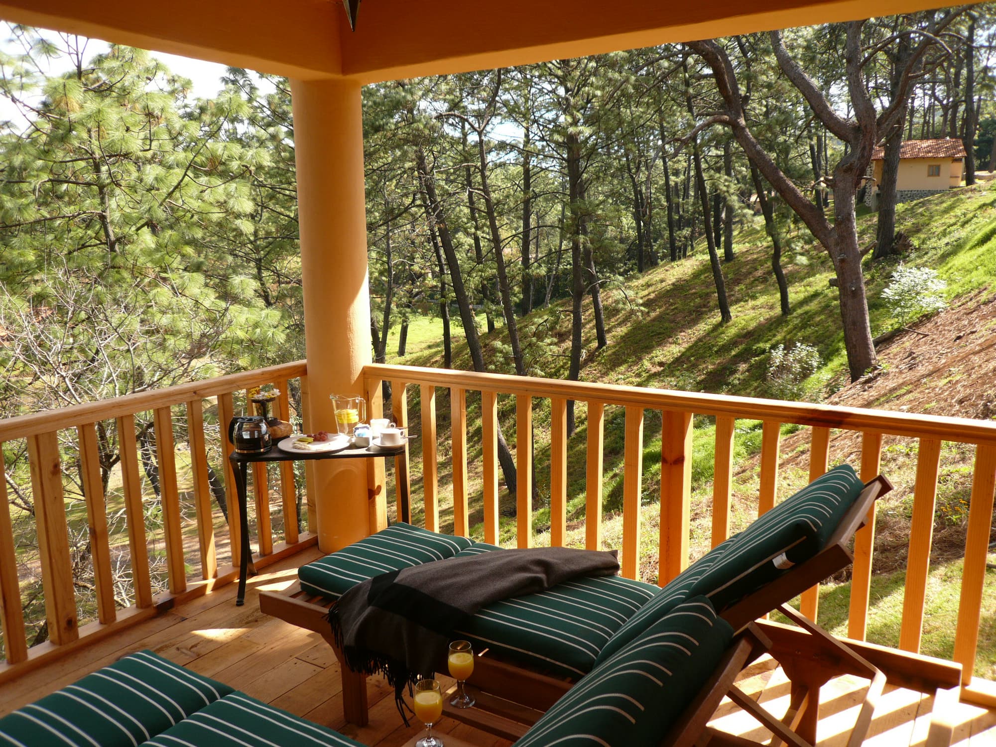 Bosque Escondido
