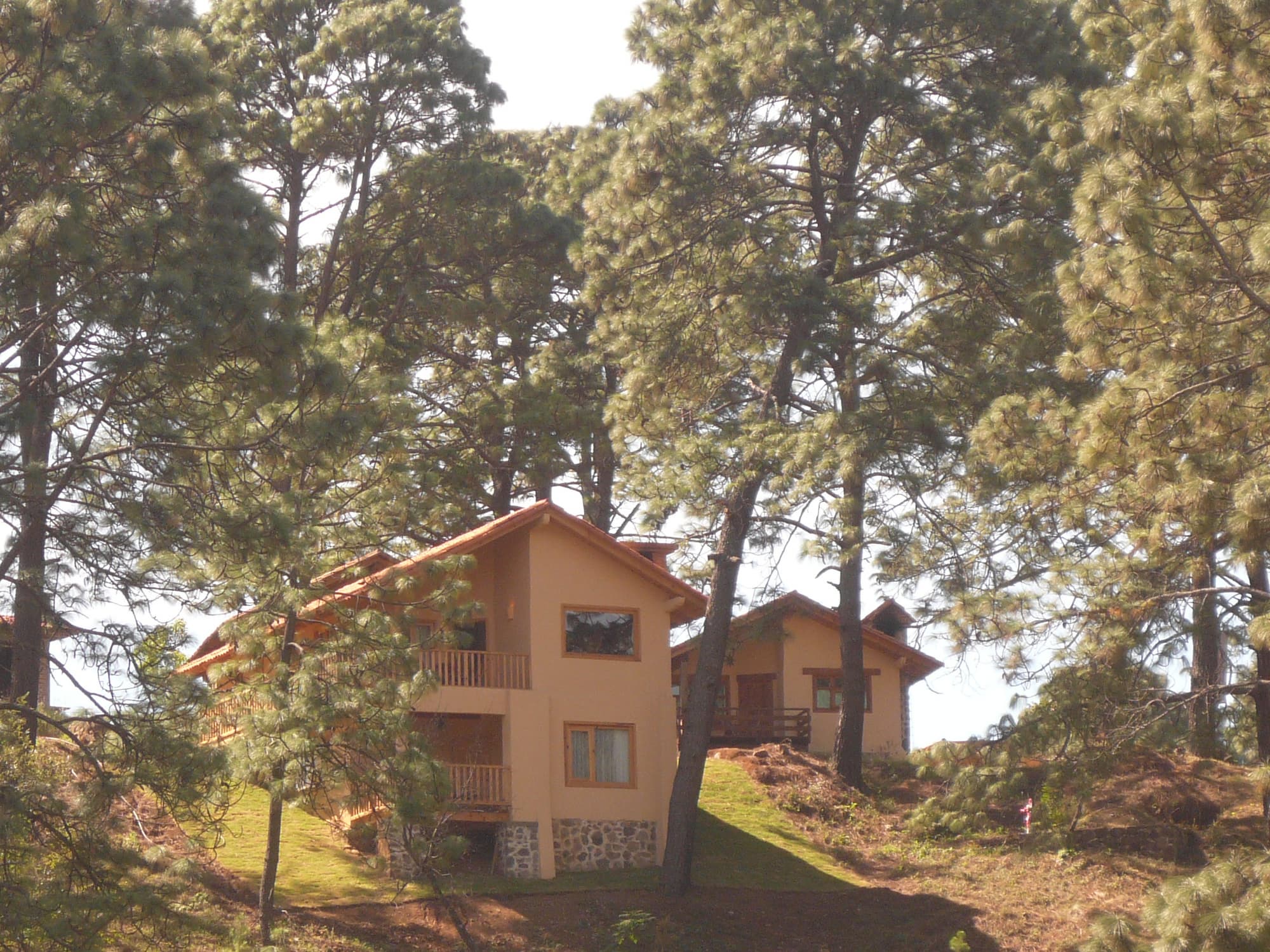 Bosque Escondido