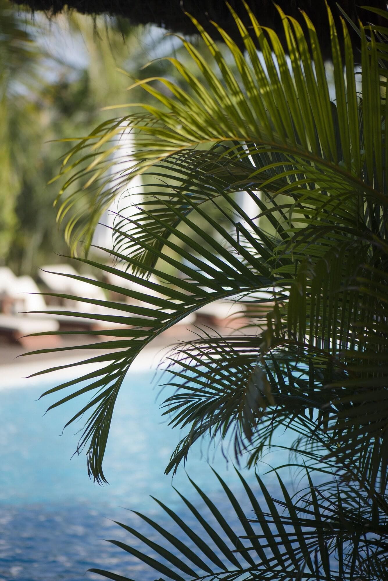Campo Bahia Hotel Vilas e SPA