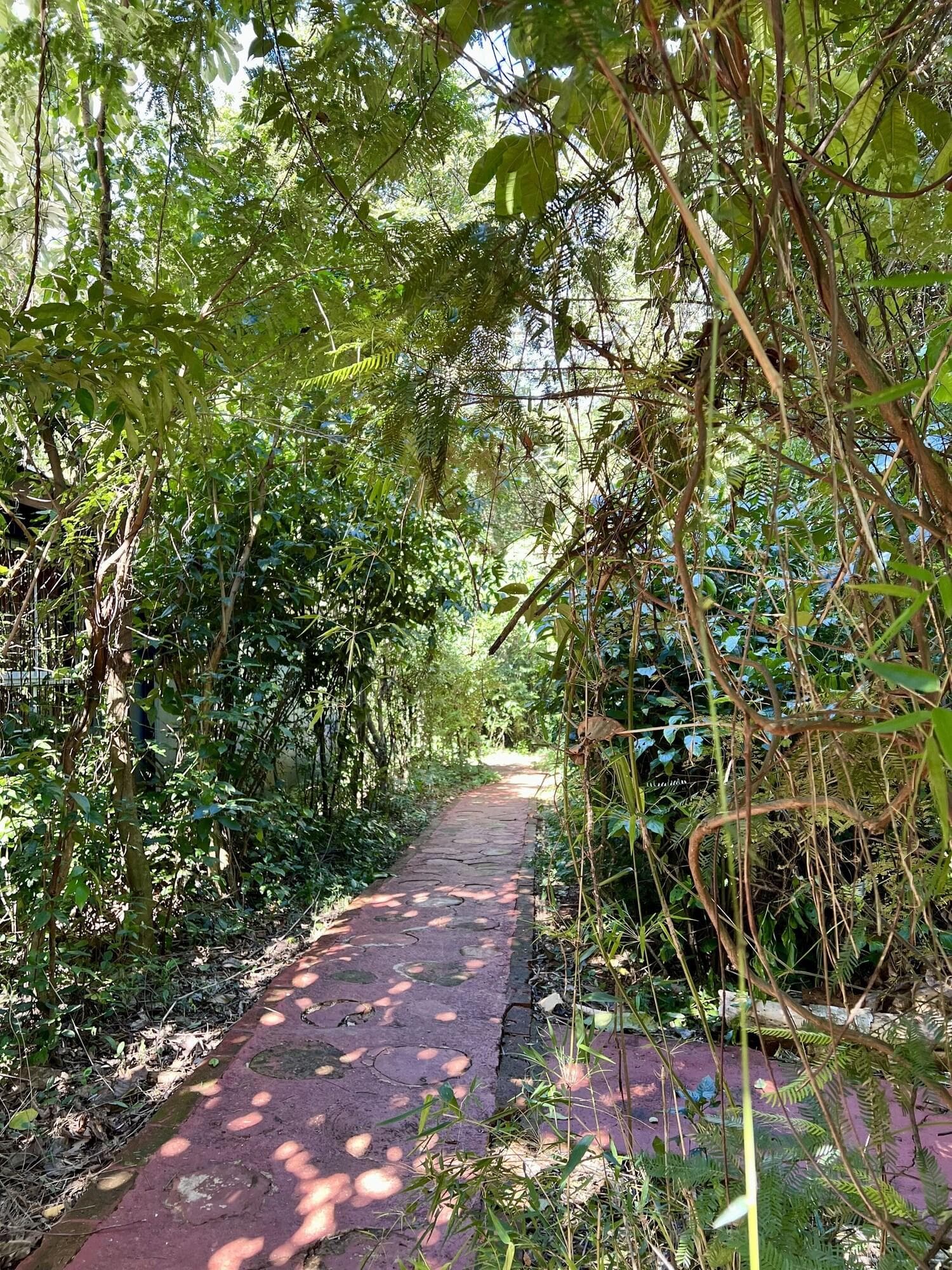 Rainforest Selva Hotel