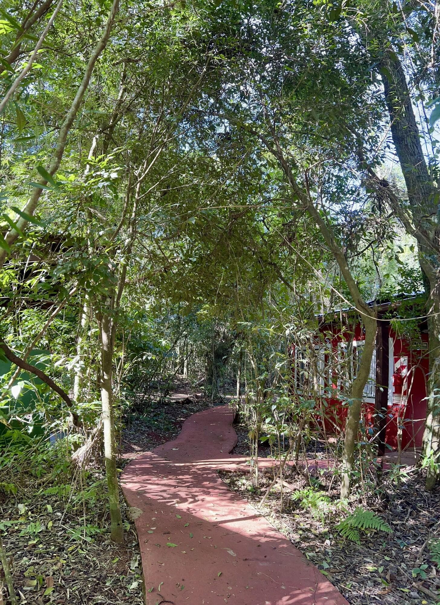 Rainforest Selva Hotel