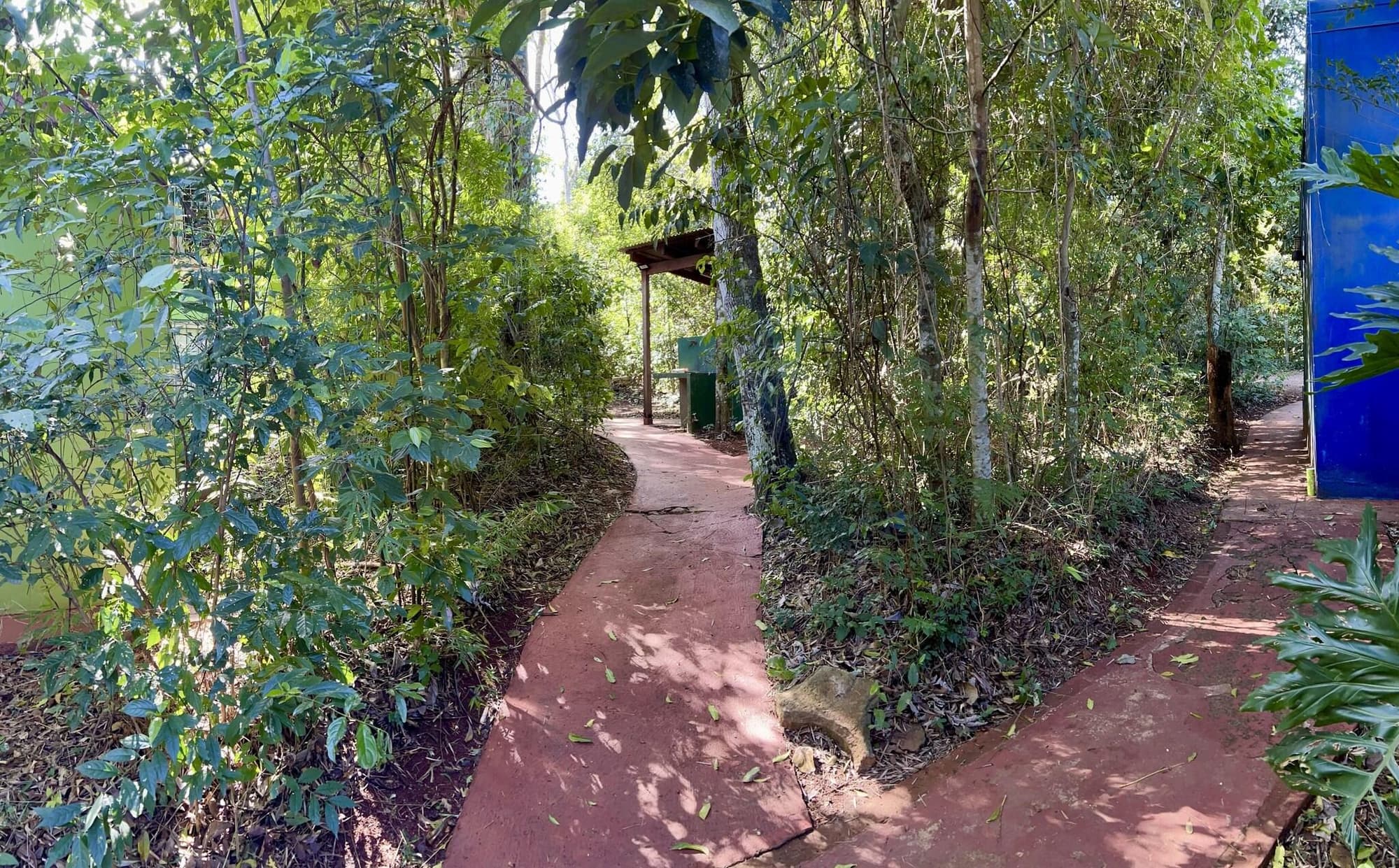 Rainforest Selva Hotel