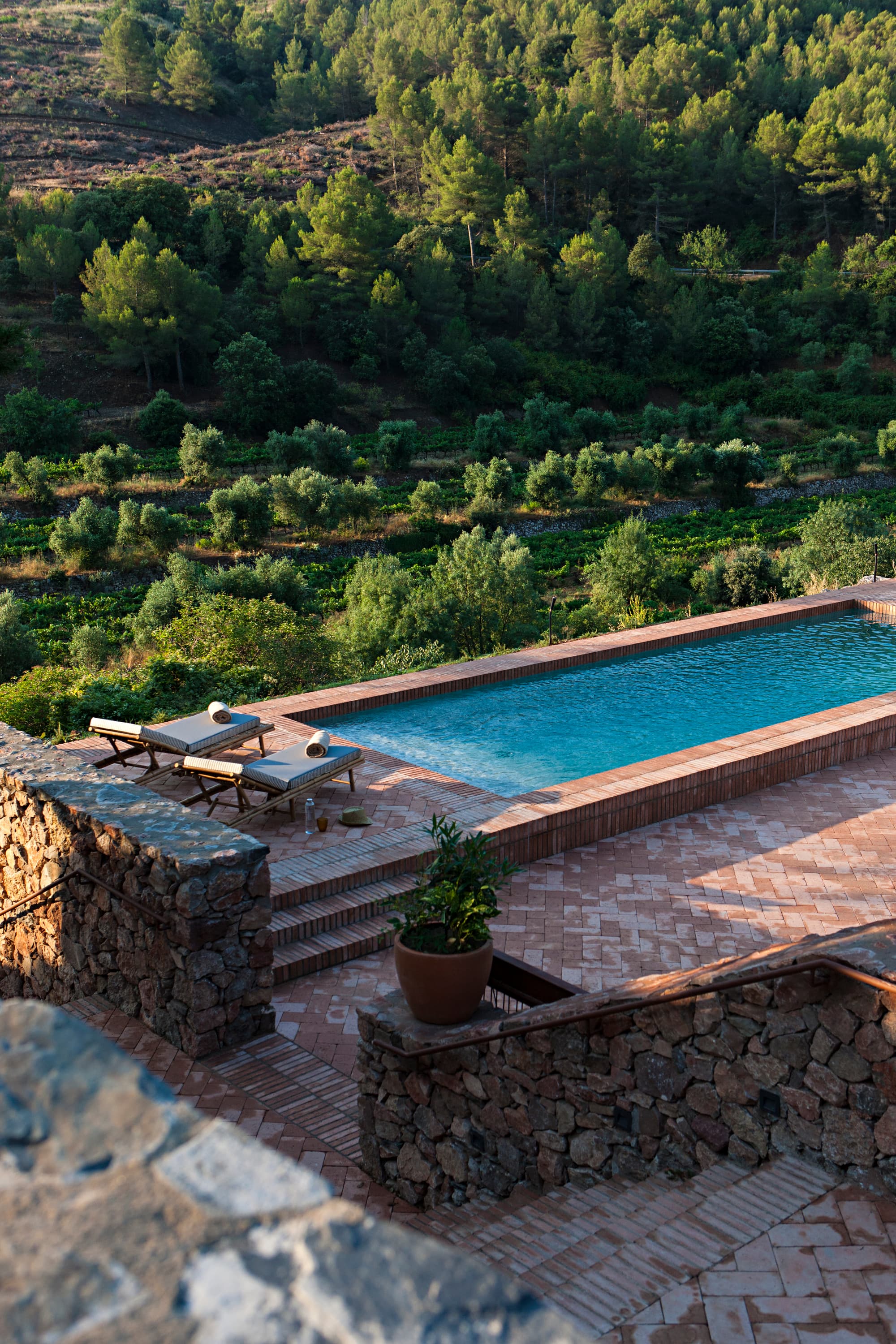 Terra Dominicata - Hotel & Winery