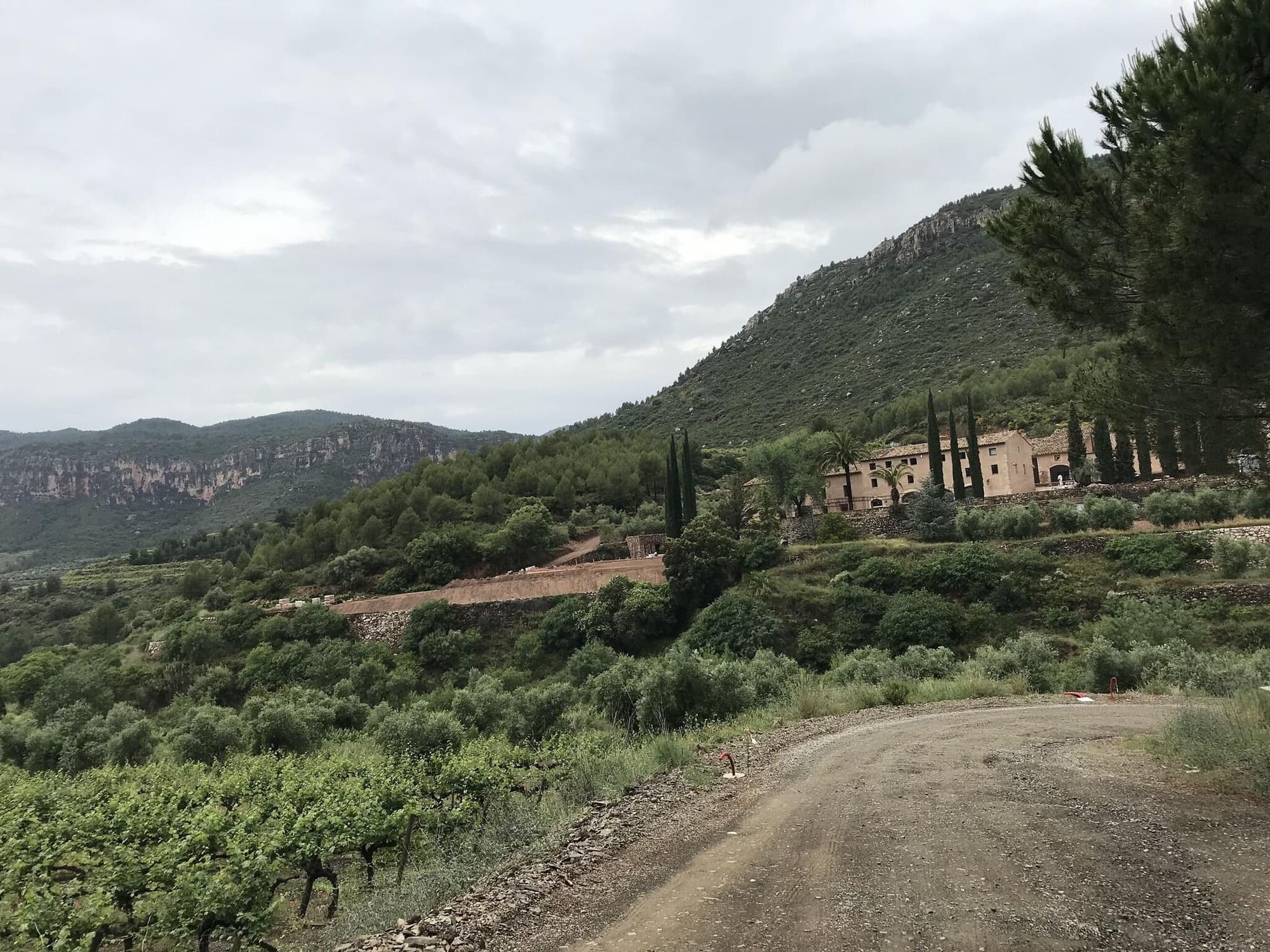 Terra Dominicata - Hotel & Winery