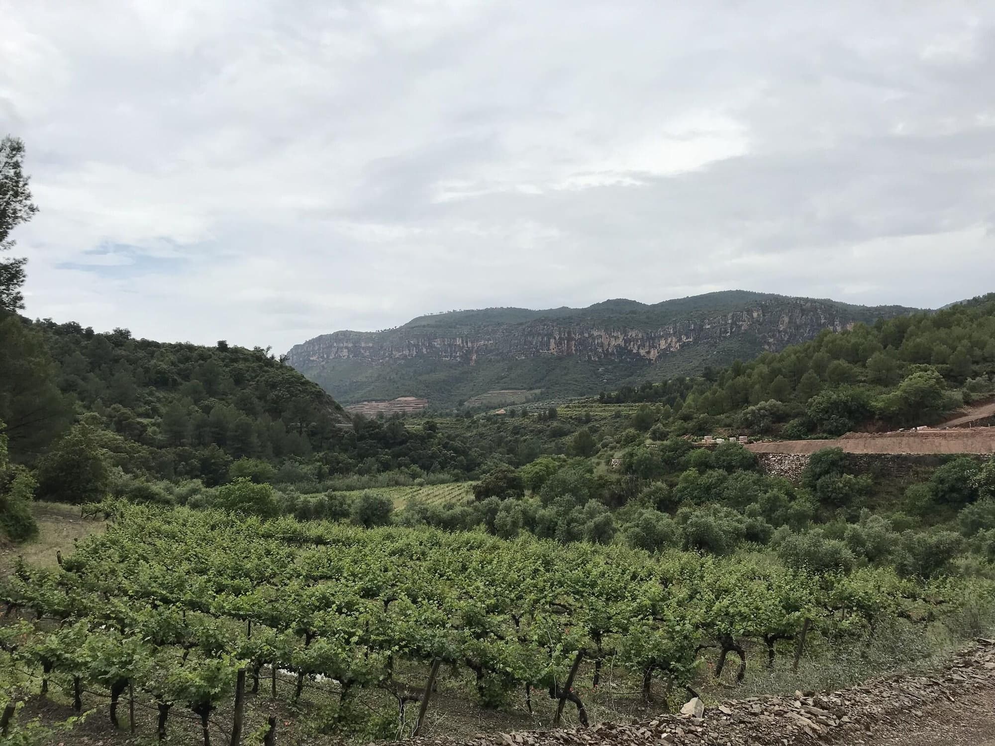 Terra Dominicata - Hotel & Winery