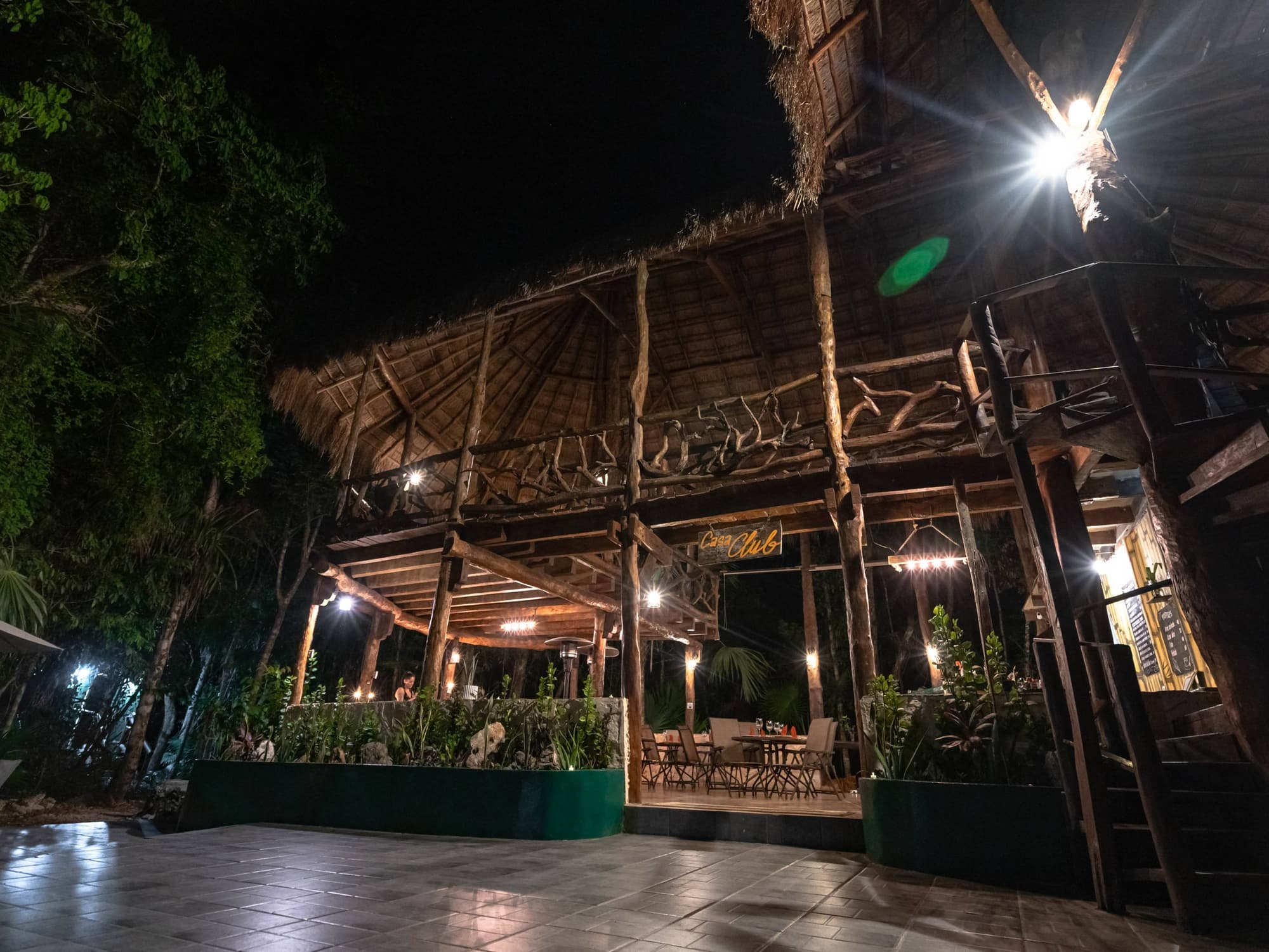 Jolie Jungle