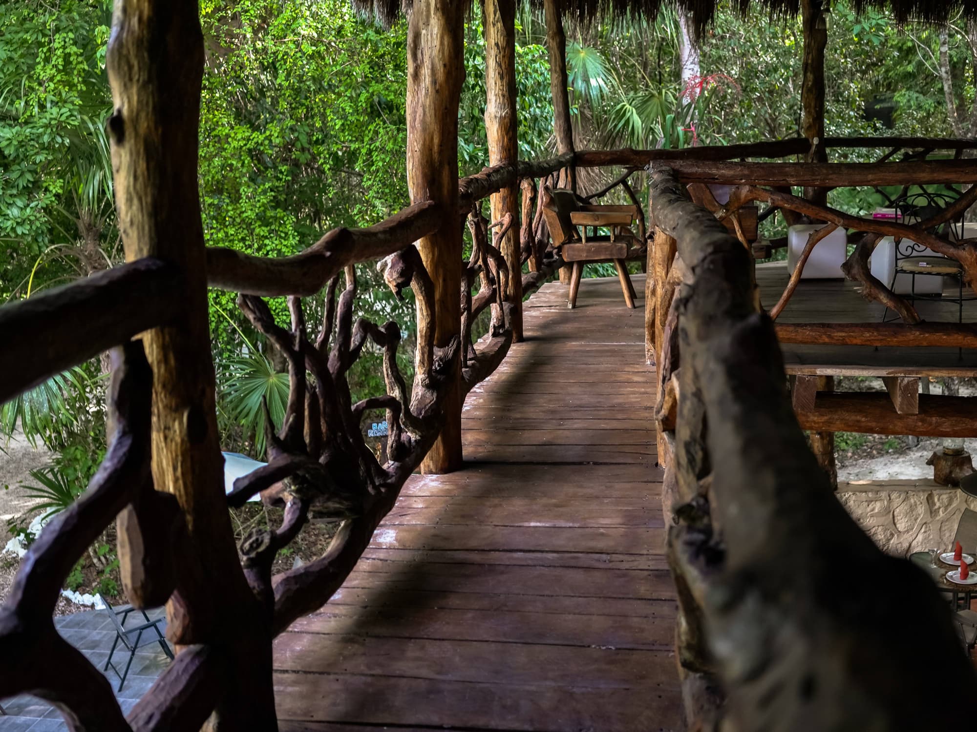 Jolie Jungle