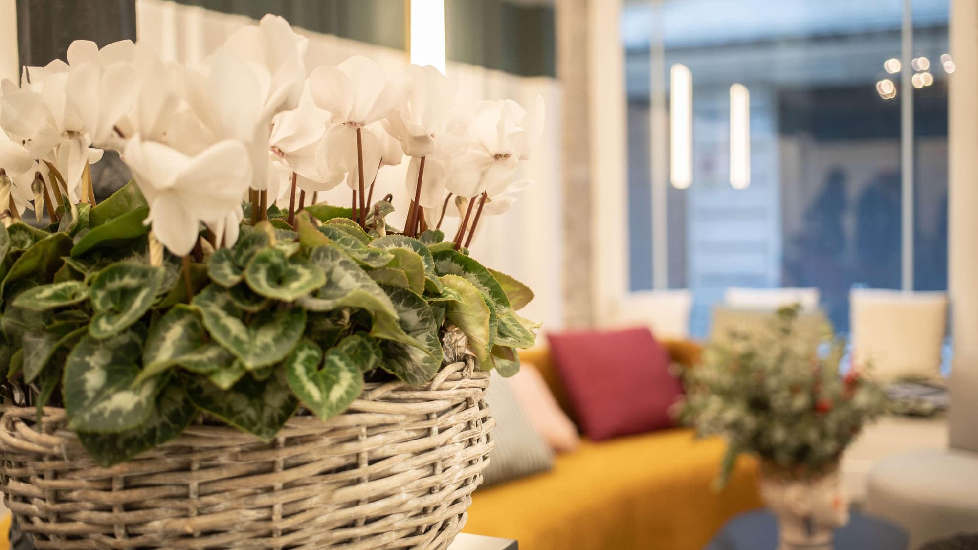 Soho Boutique Congreso, Lobby