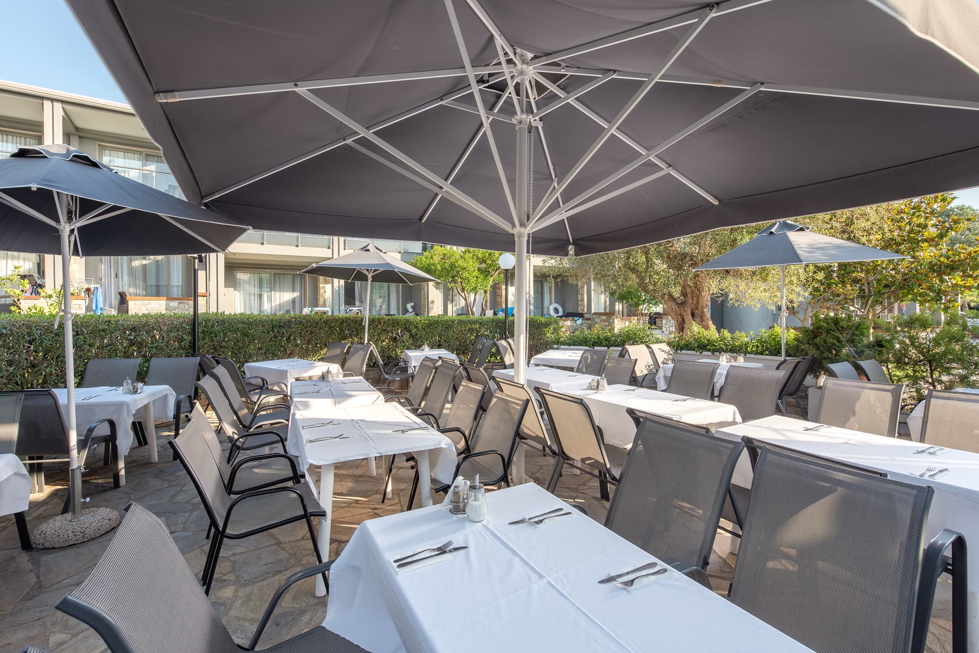 Dionysos Hotel and Studios