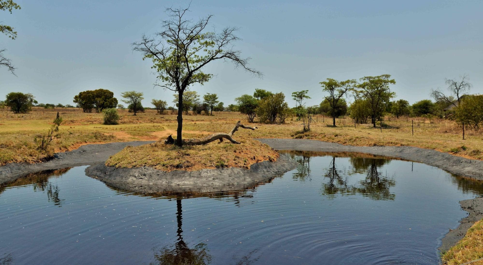 Safari Plains- Mabula