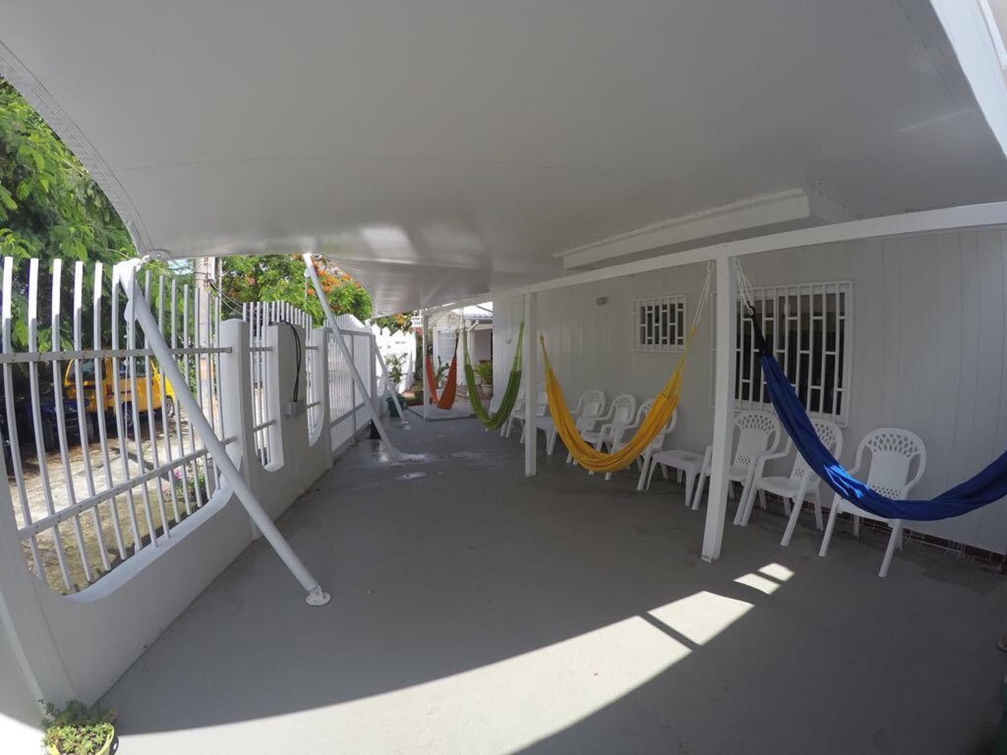 Tropical Coral, General view