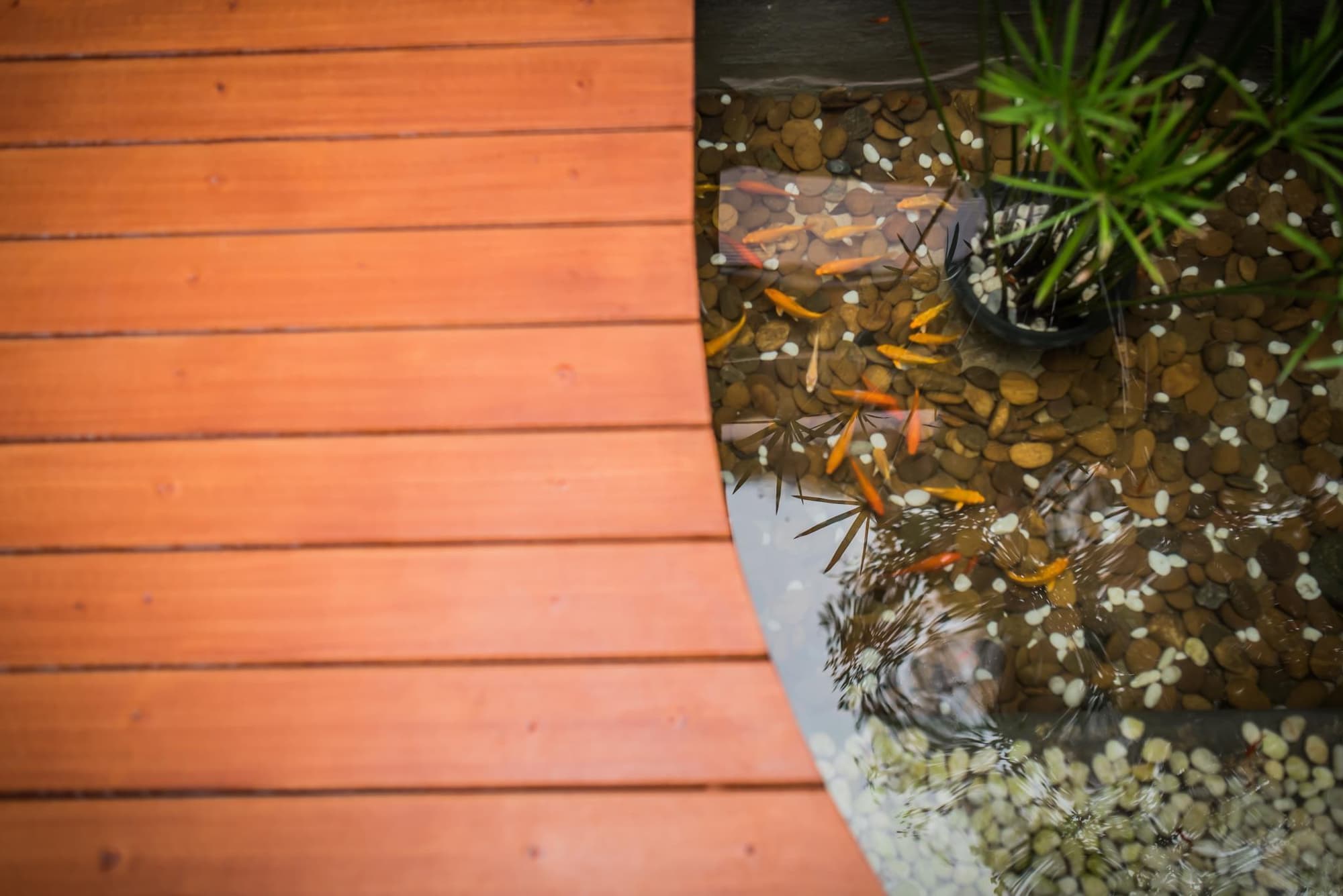 Le Terrarium Bed Sleep Chiang Rai