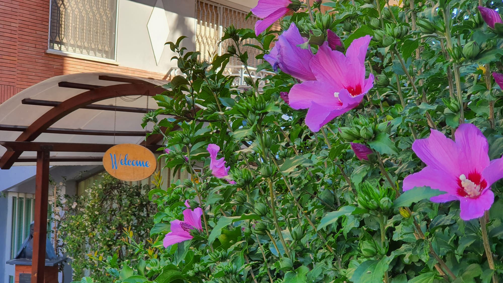 Villa Letizia - Casa Per Ferie