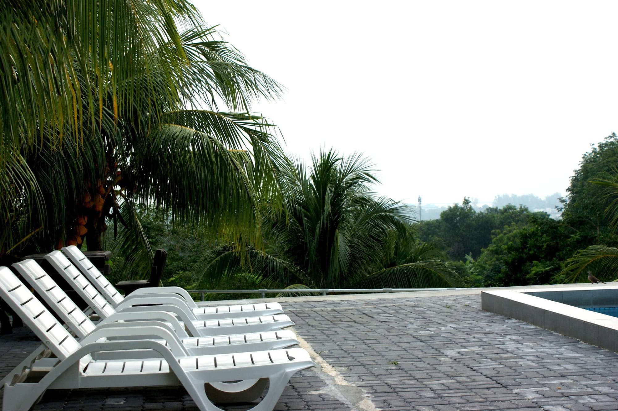Pemandangan Indah Guest House