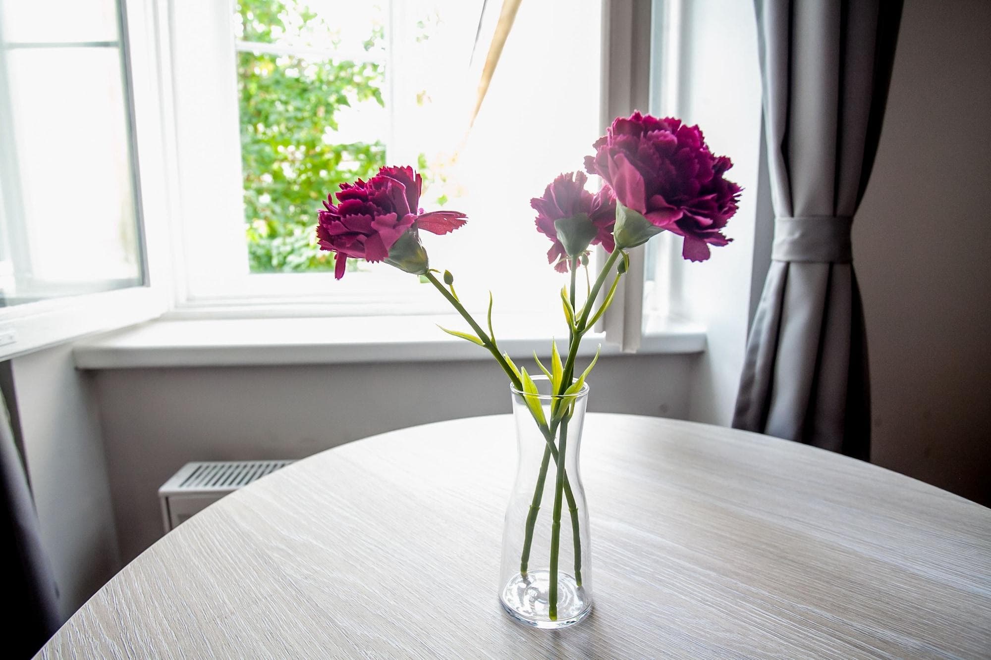 Zagreb City Vibe Apartments Rooms