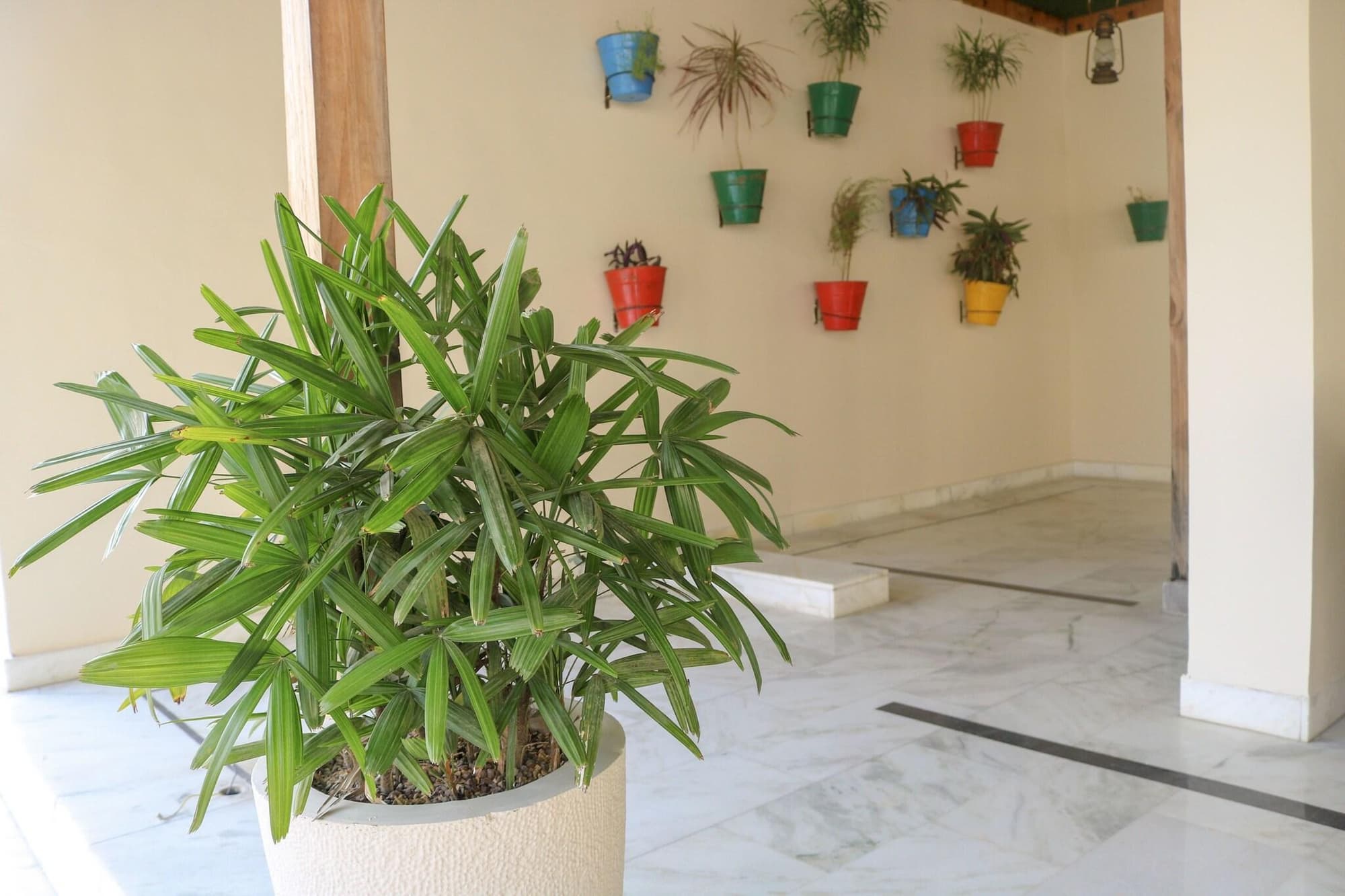 Brahma Horizon Hotel & Spa – Pushkar