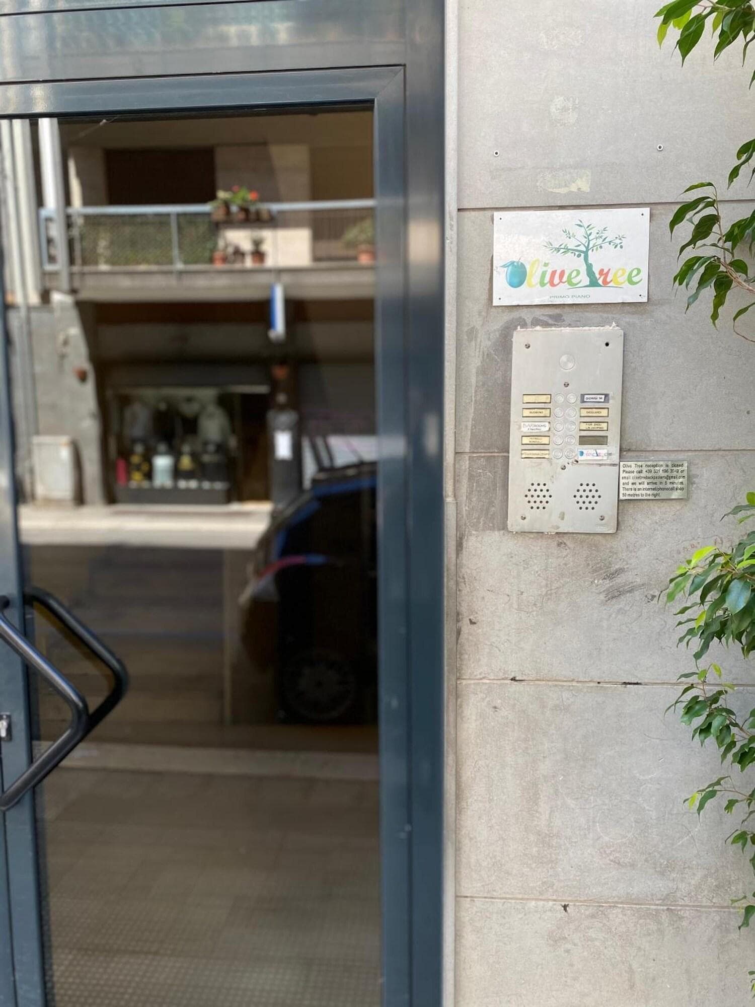 Olive Tree Hostel