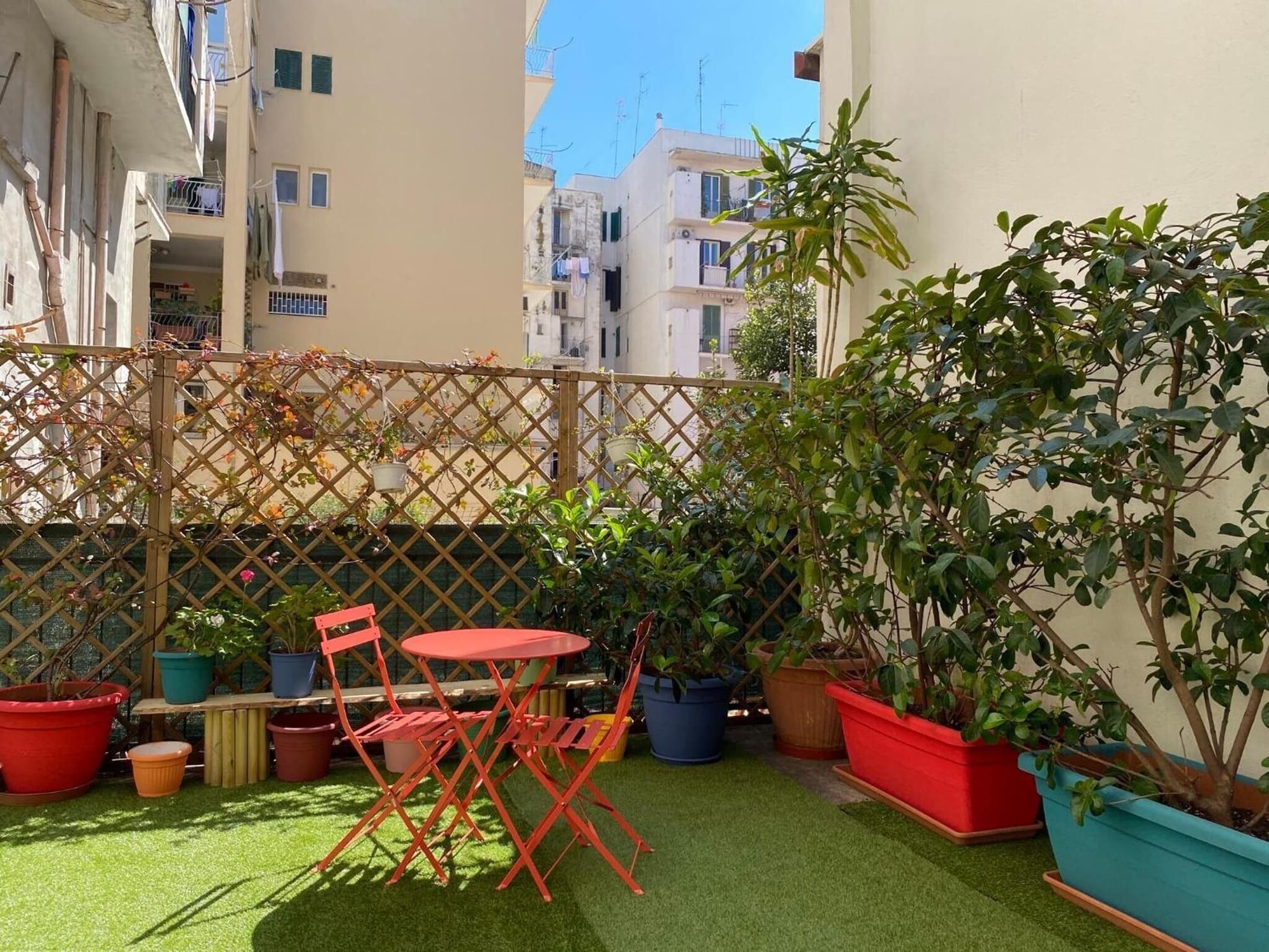 Olive Tree Hostel