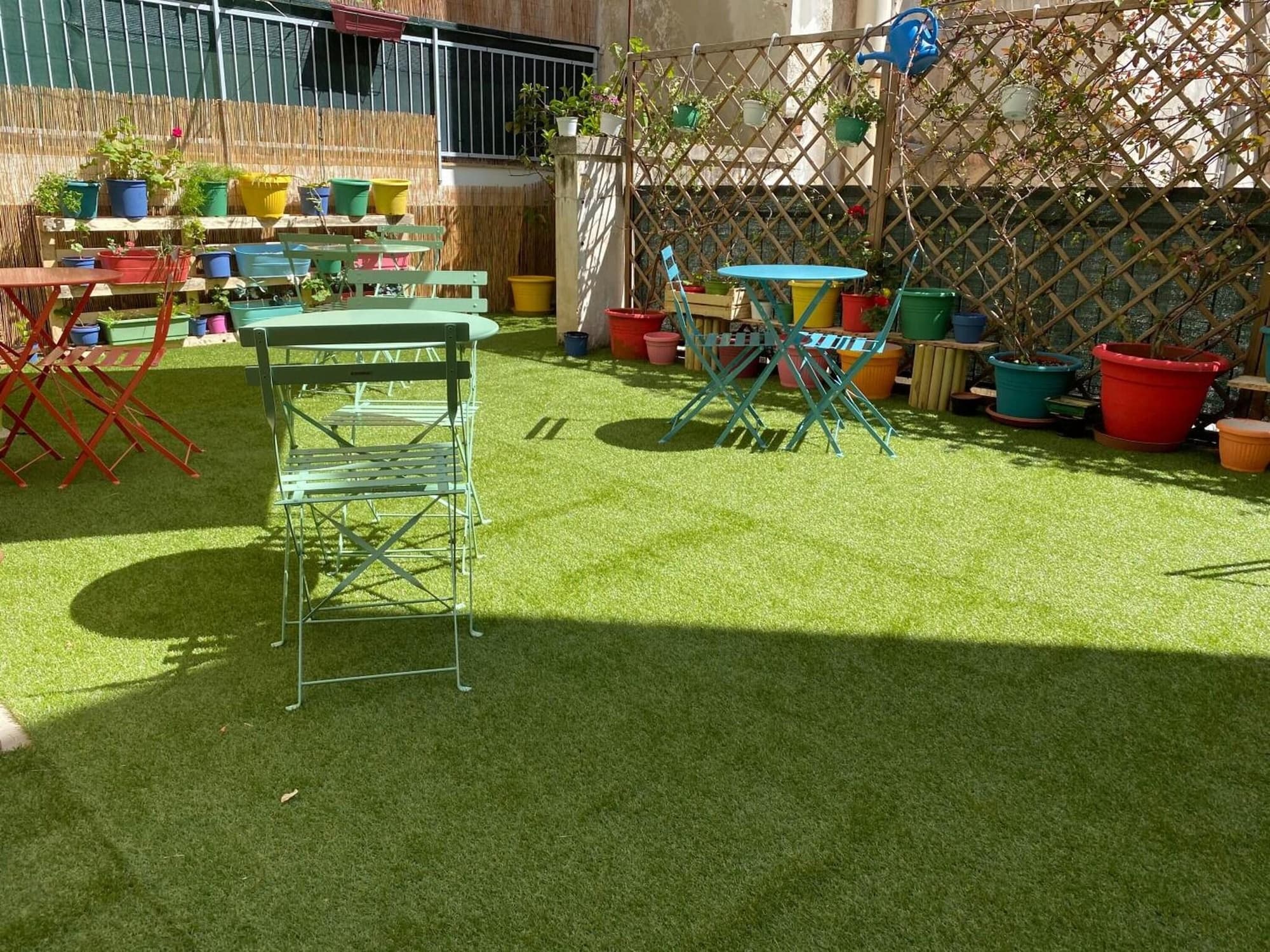 Olive Tree Hostel