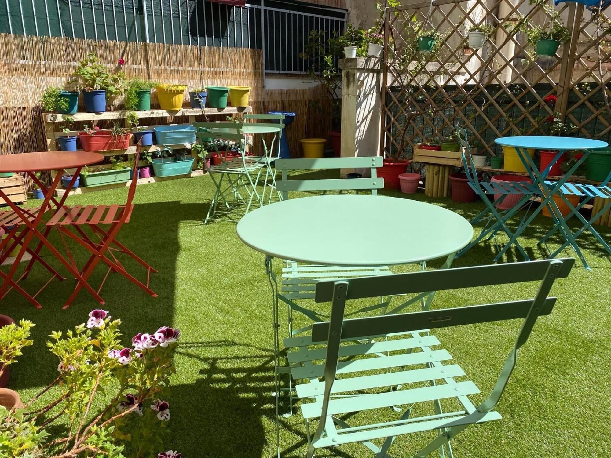 Olive Tree Hostel