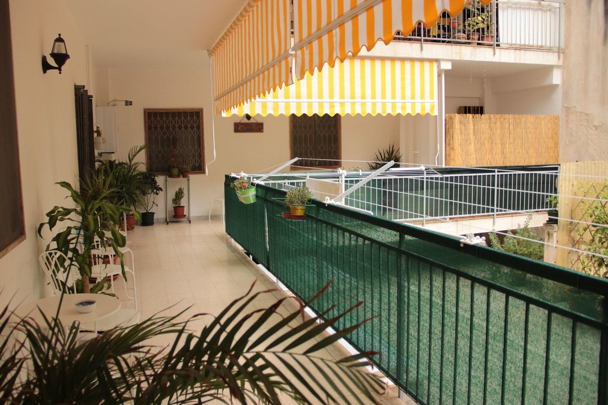Olive Tree Hostel