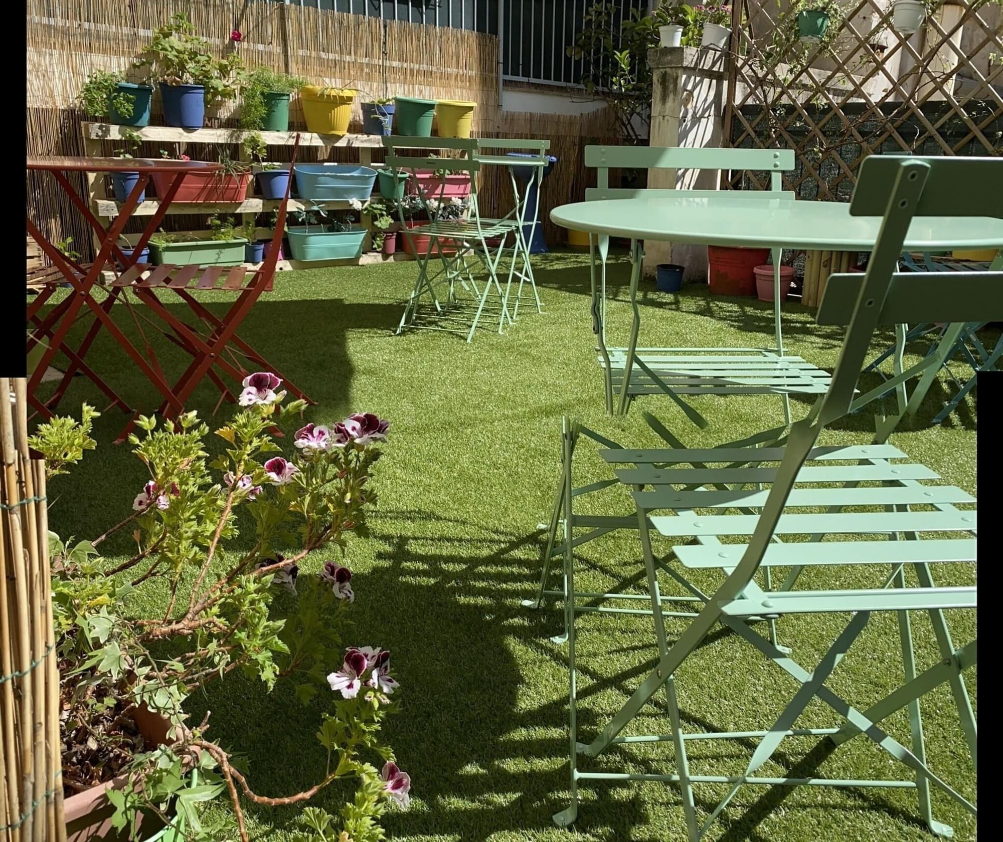 Olive Tree Hostel