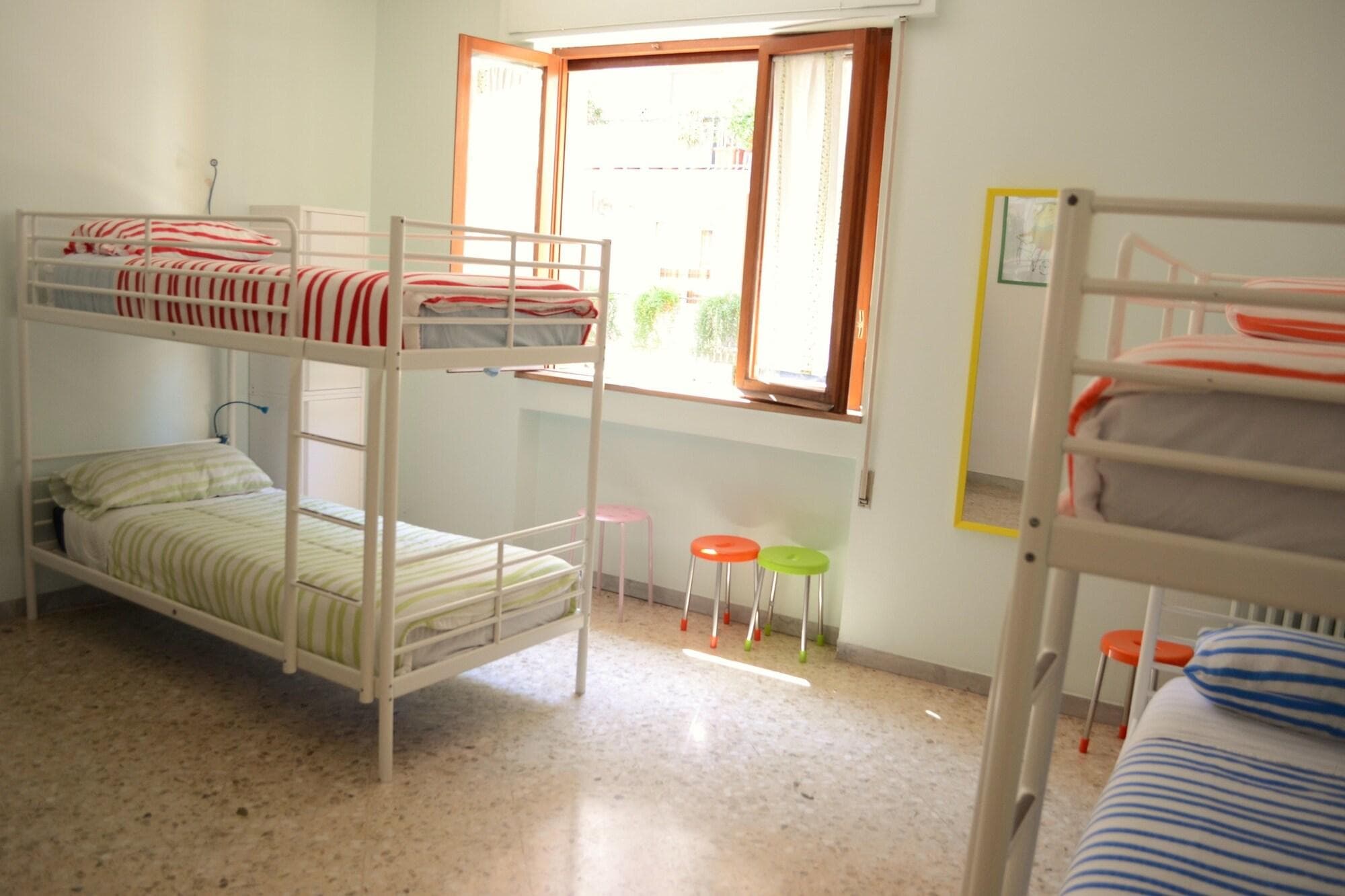 Olive Tree Hostel