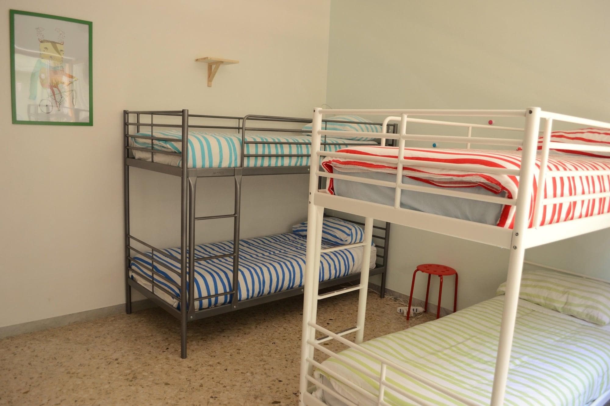 Olive Tree Hostel