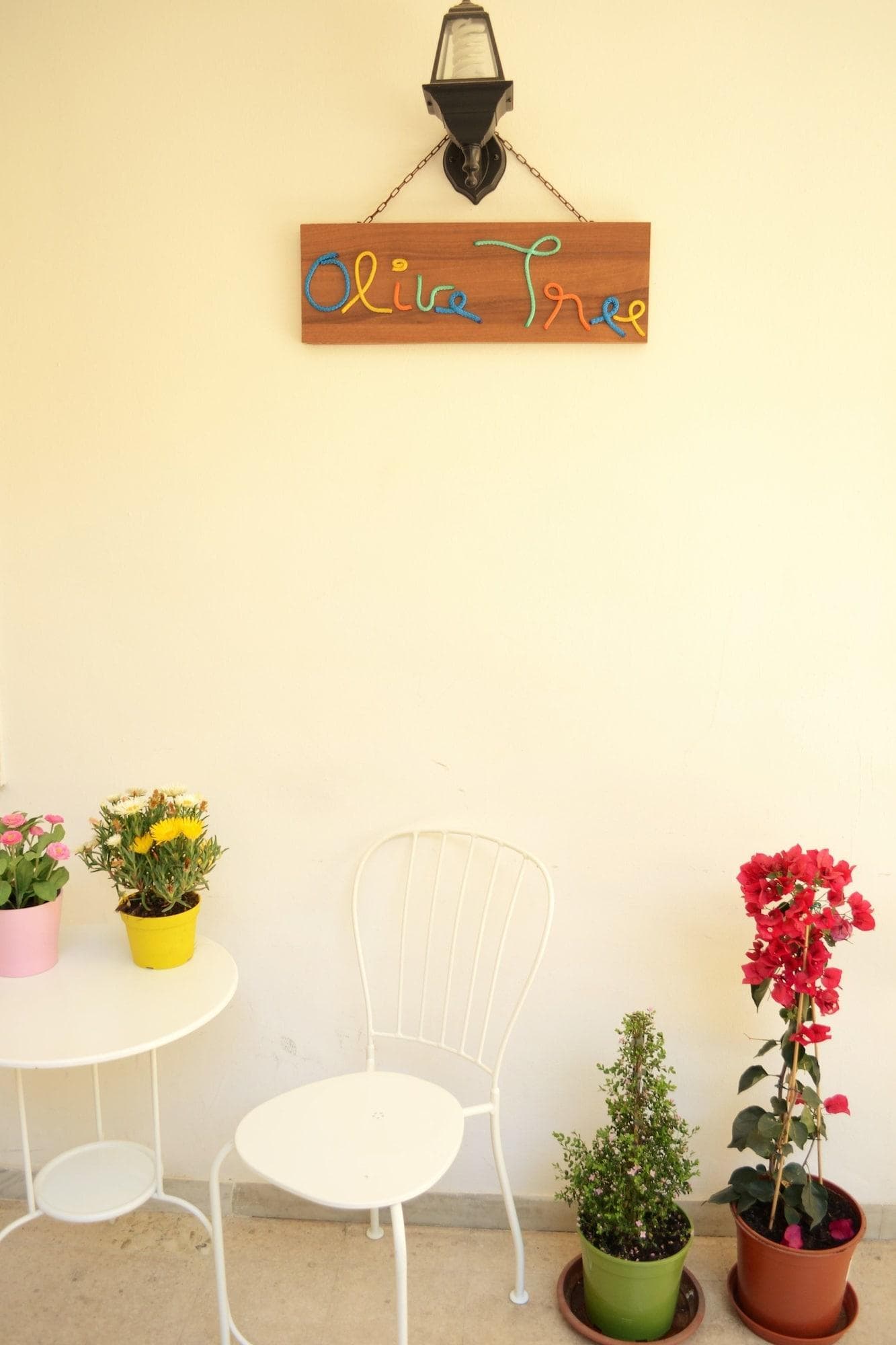 Olive Tree Hostel