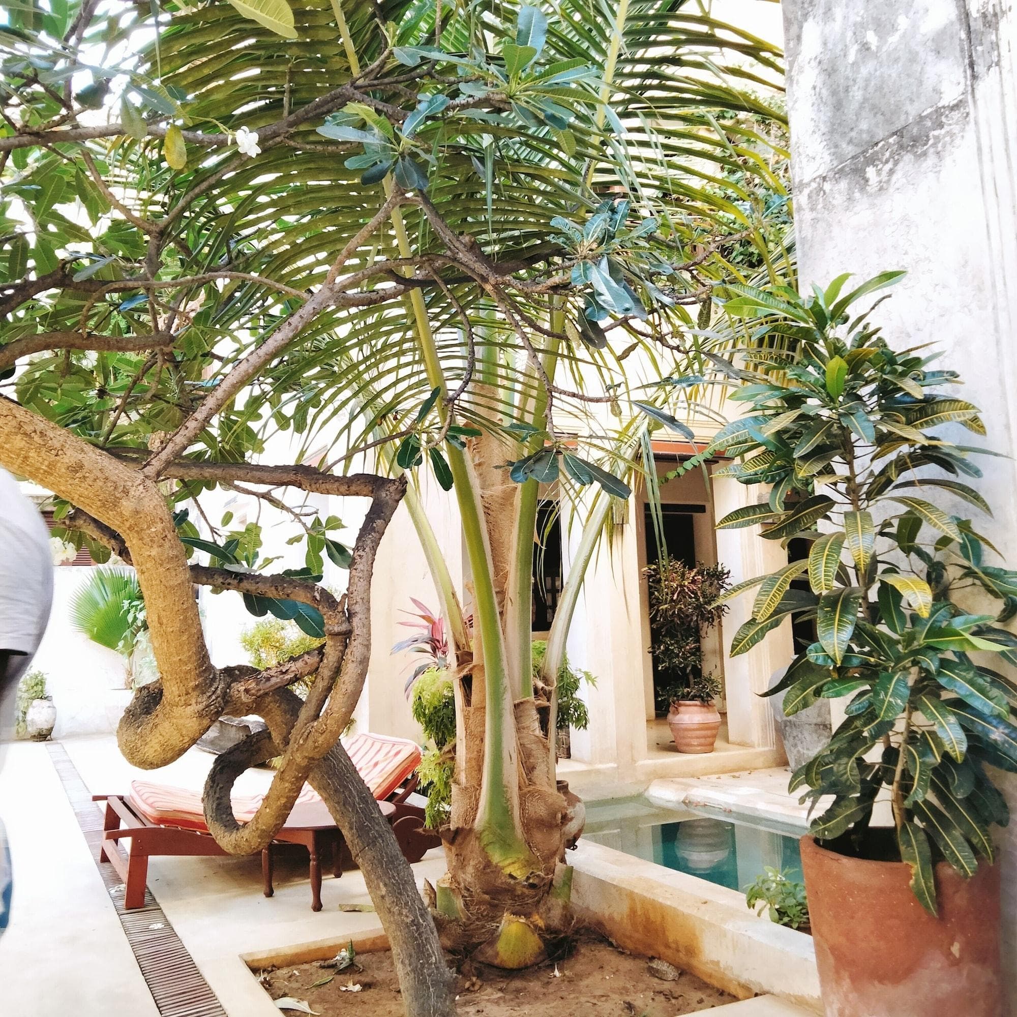 Lamu House Hotel