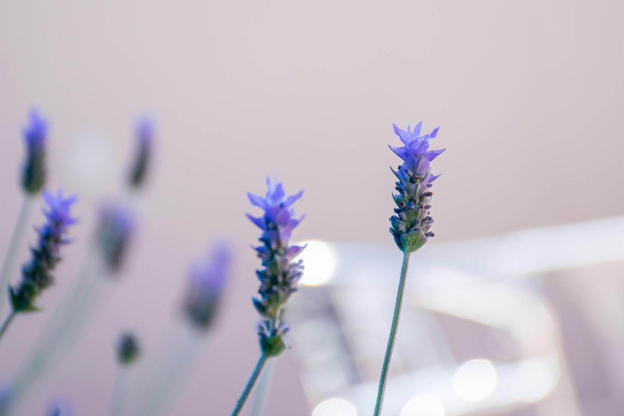 Hotel Casa Santamaría