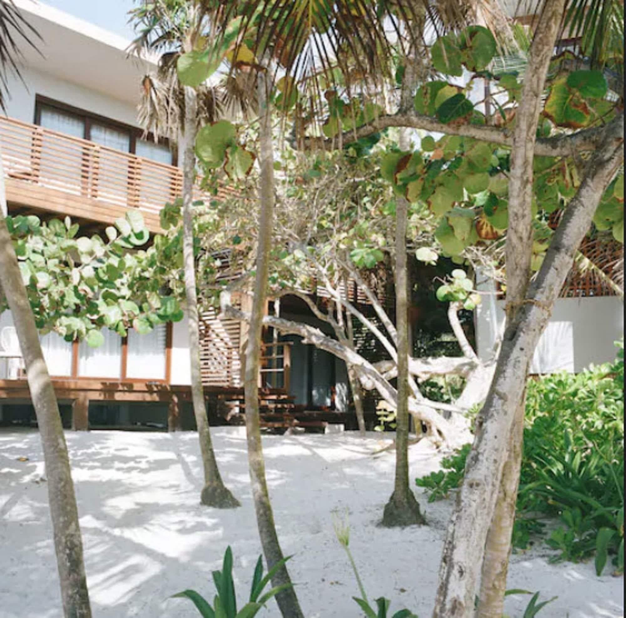 Sanara, General view