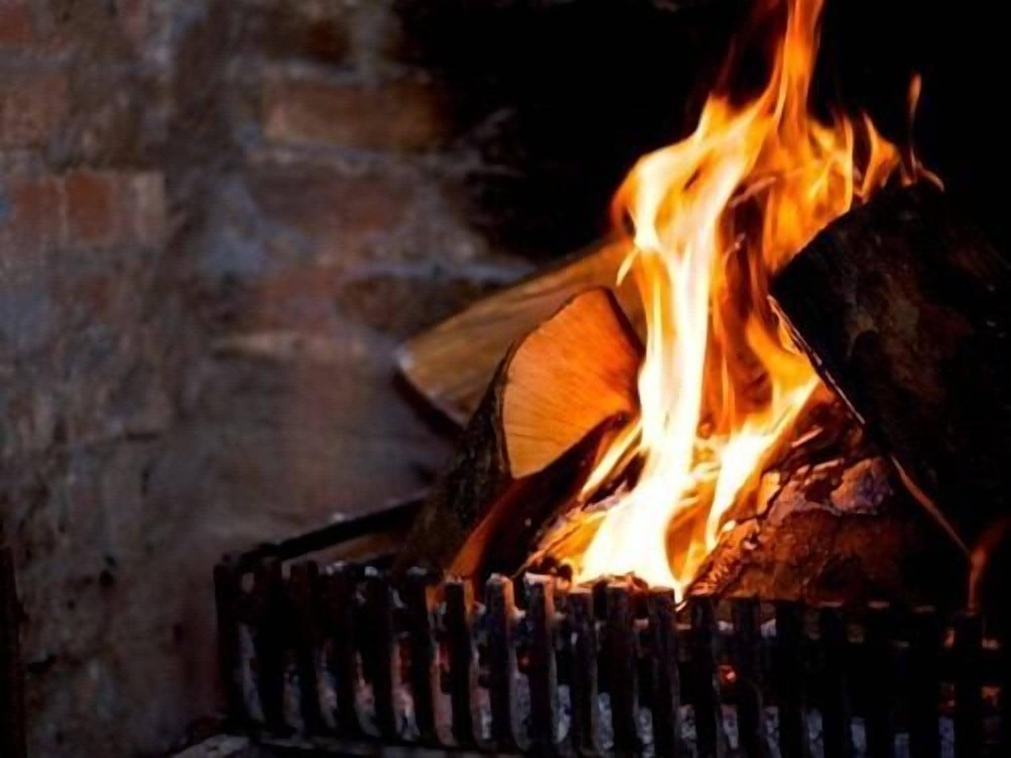 The Fox Goes, General view