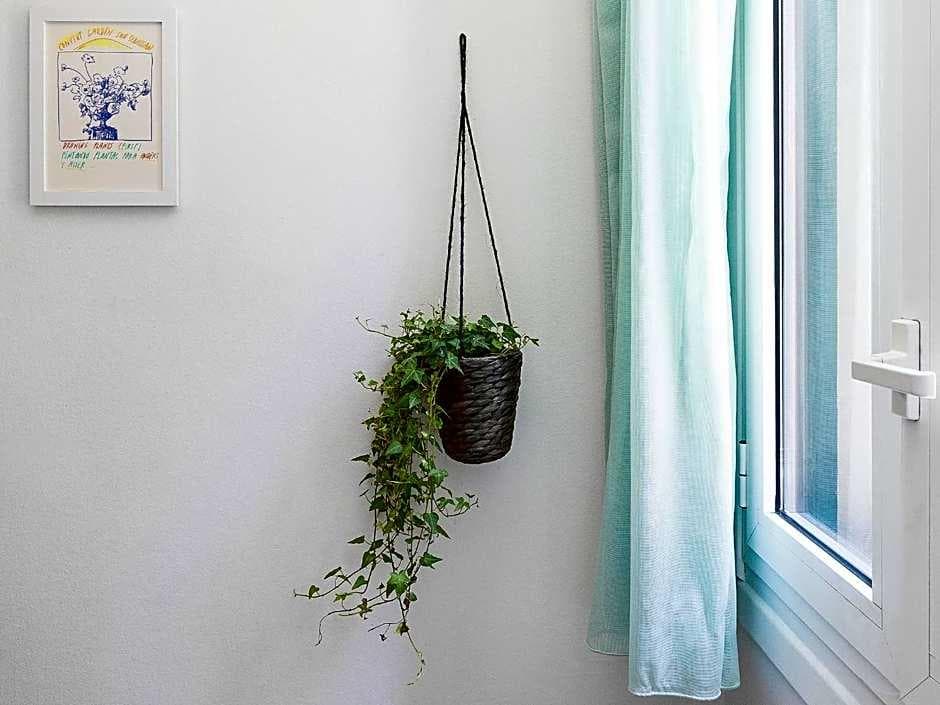A Room In The City