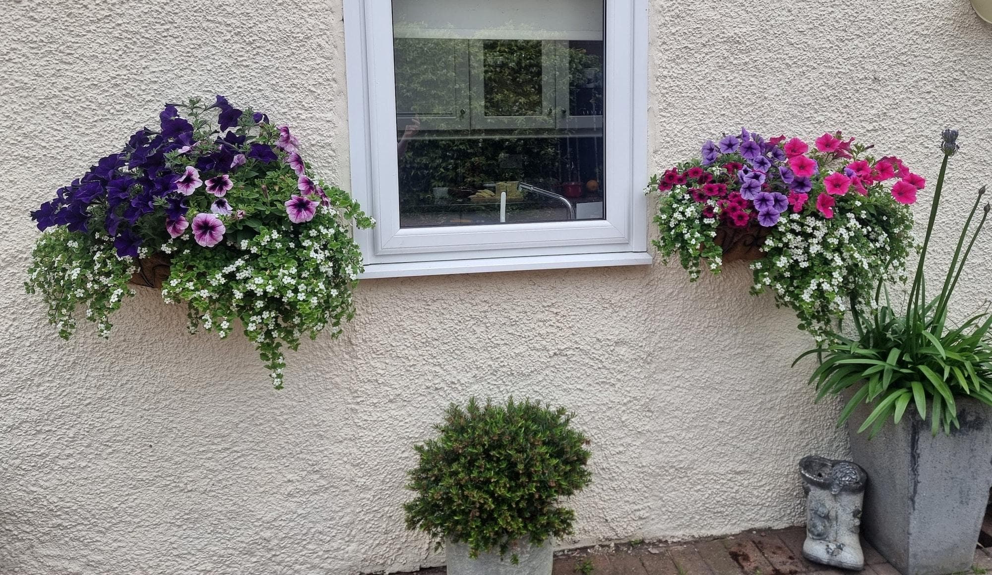 St Leonards Guest House