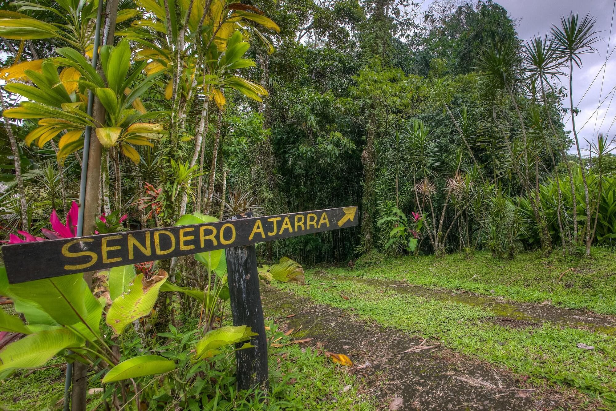 Hotel Kokoro Mineral Hot Springs, General view