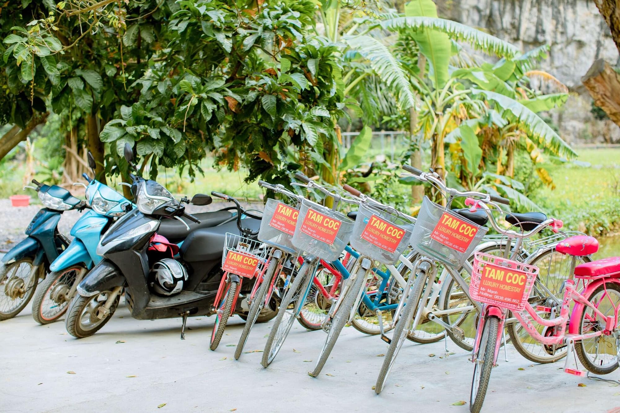 Tam Coc Luxury Homestay