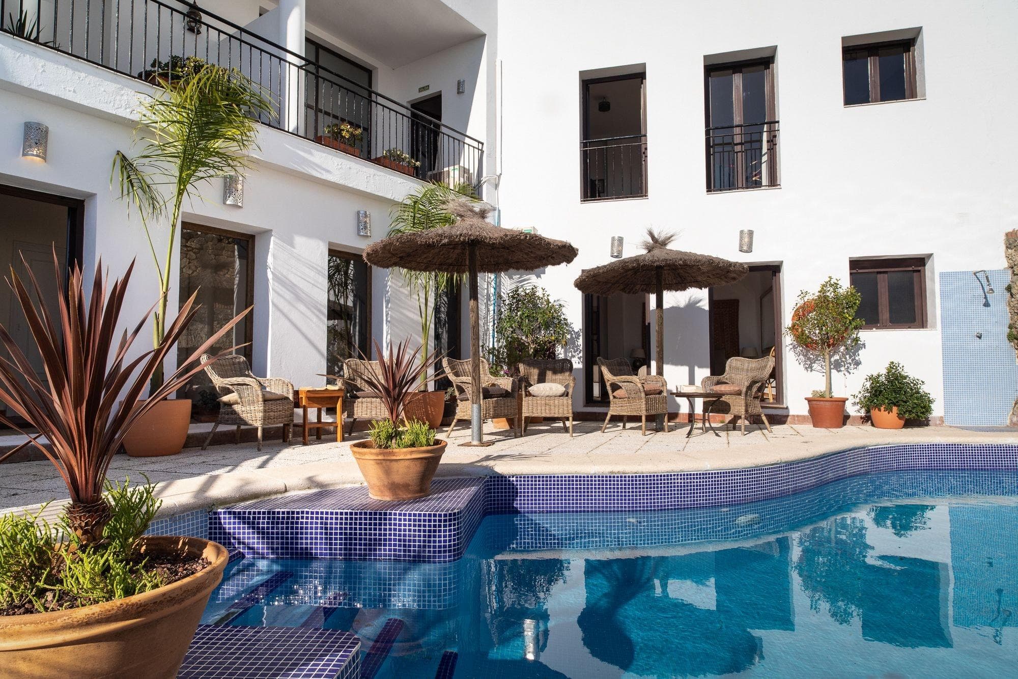 Las Palmeras Del Califa, Sports and Entertainment