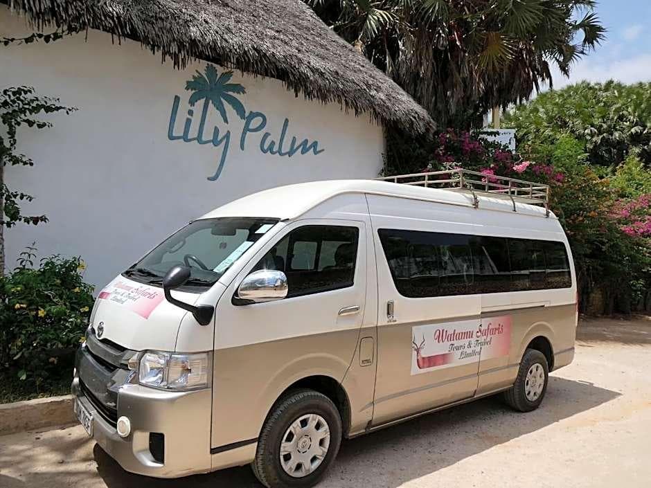 Lily Palm Resort
