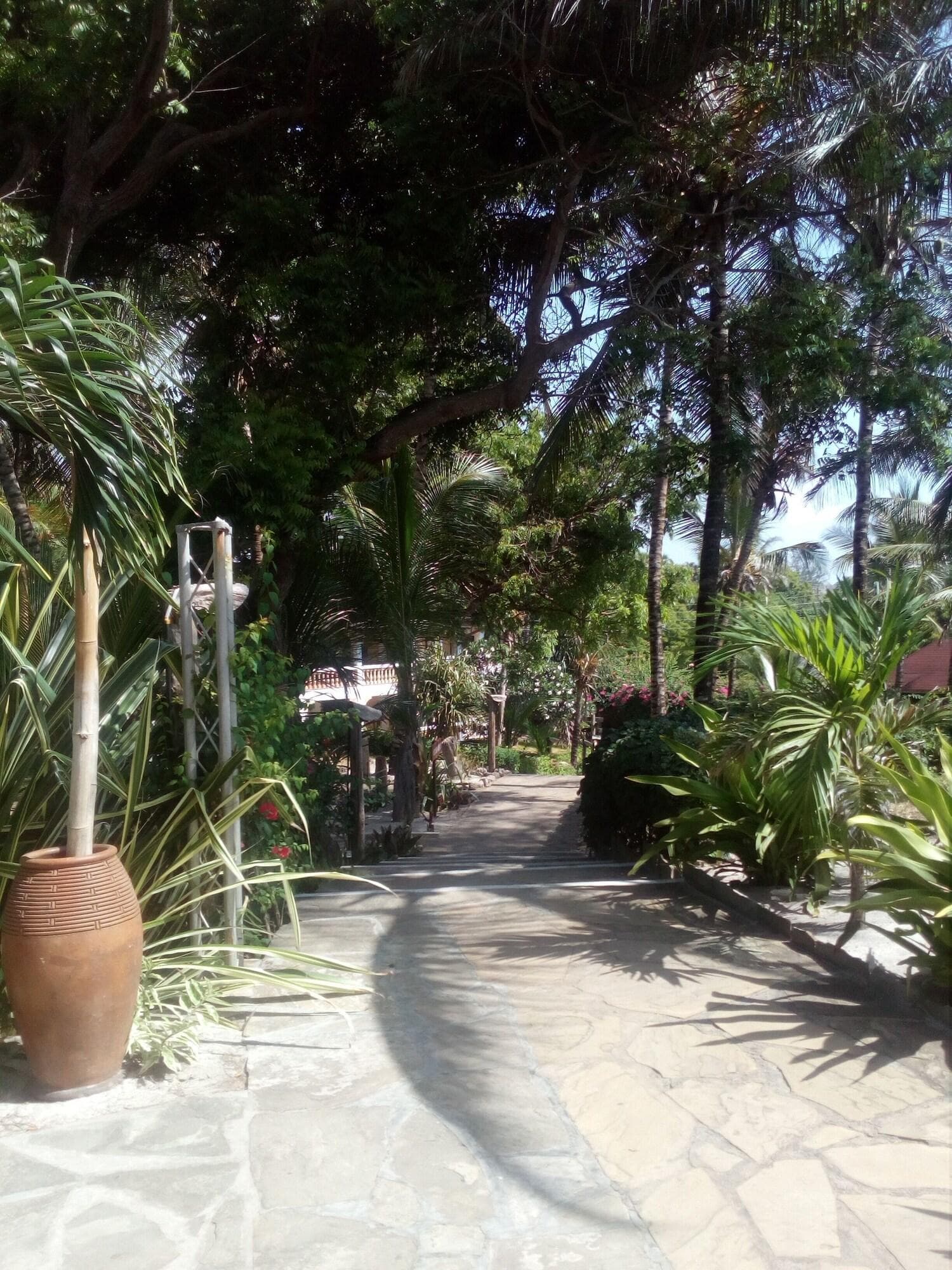 Lily Palm Resort