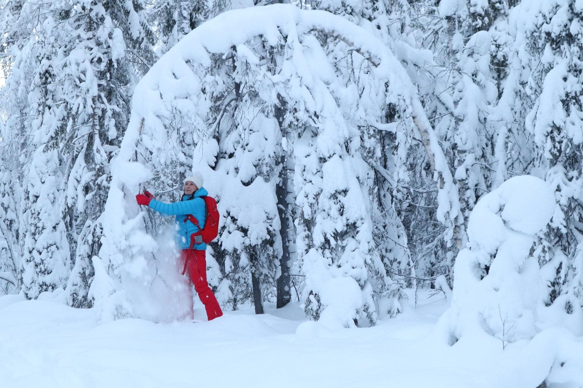 Hotel Metsähirvas, Sports and Entertainment