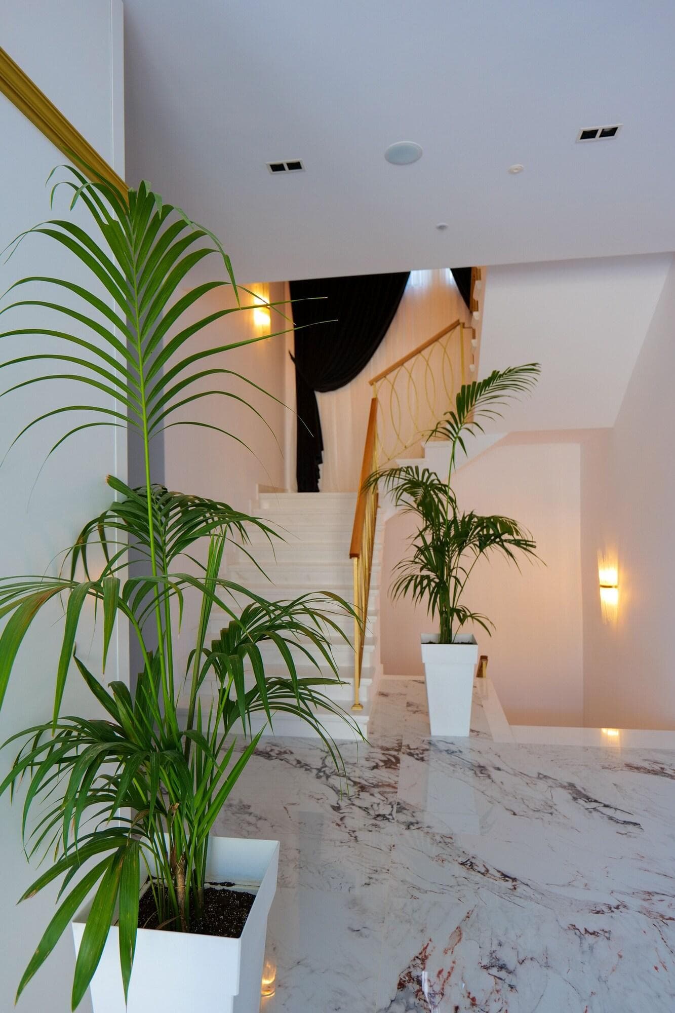 Chimaera Hotel