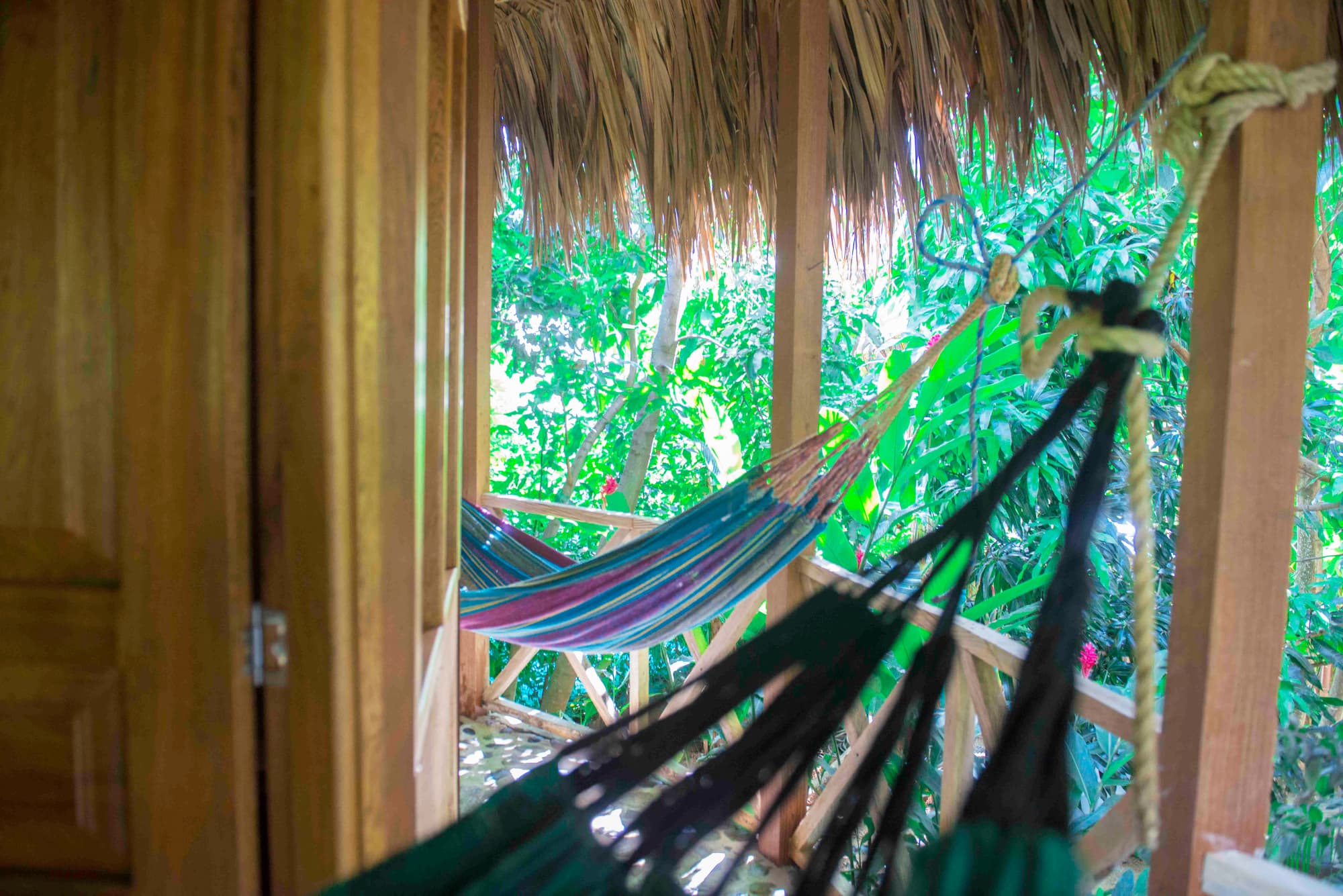 Posadas Ecoturisticas Seineken, Lobby