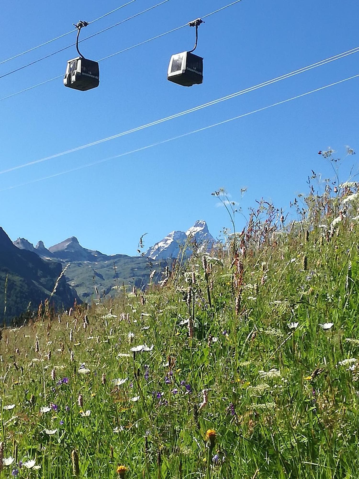 Rifugio Vieux Crest