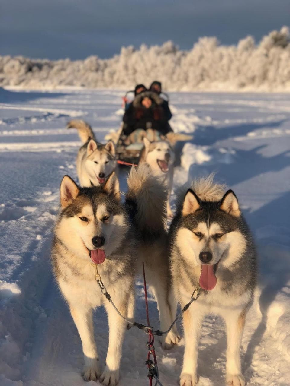 Scandinavian Home, free parking, 