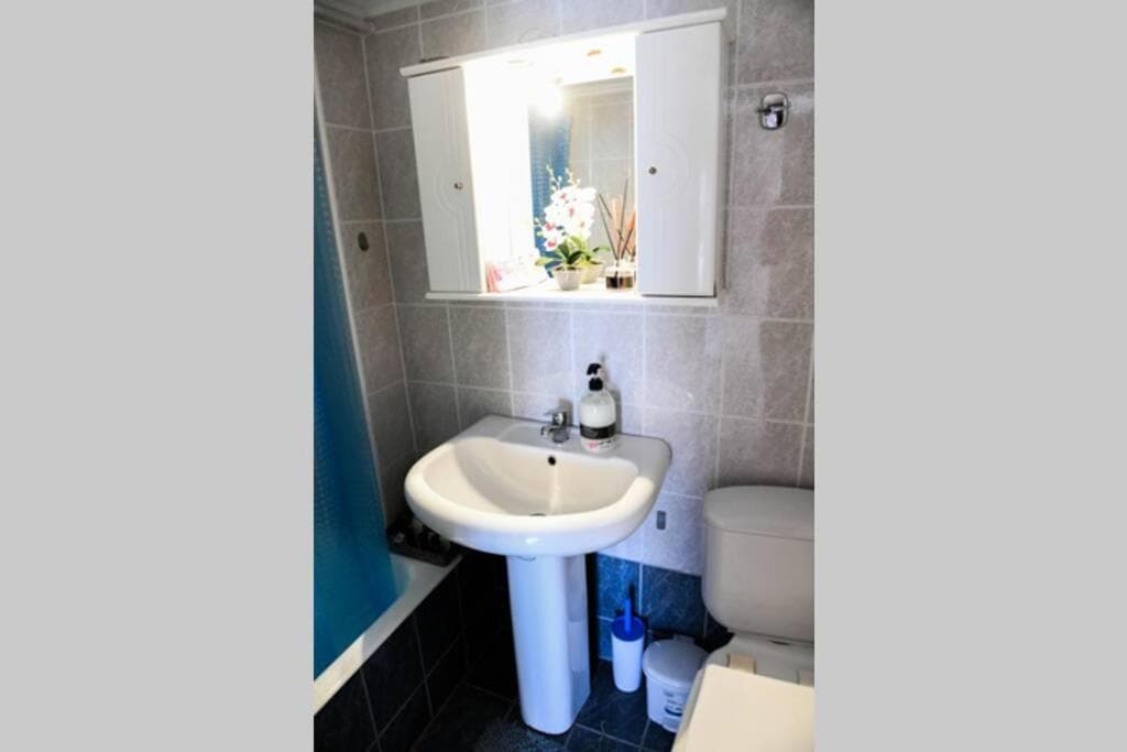 Papi's Free Parking Apartments 1 - Studio, 