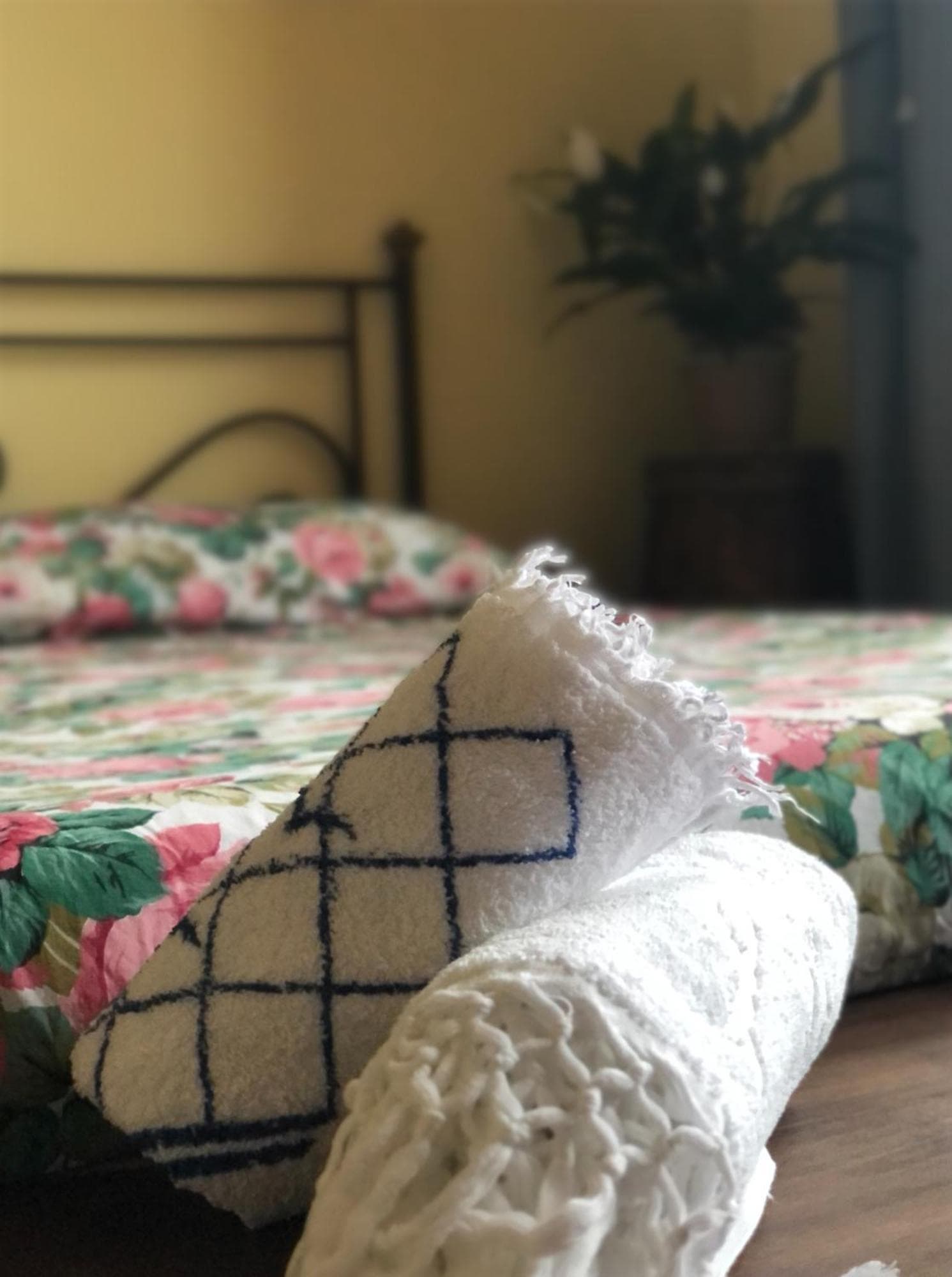 Villa Orsini - A Retreat in Pisa - Food and Relax, 