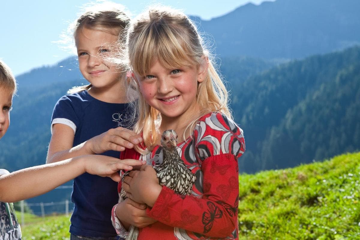 Schneiderhof, Chalet, Urlaub auf dem Bauernhof